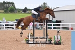 BPP_8232