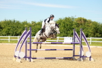 SBM_002541