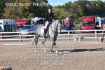 BPP_8715