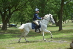 NGP_7895