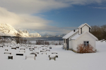 Church, Skifjorden, Lofoten Islands