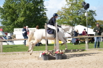 SBM_17929