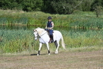 WJ7_3226