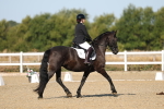 SBM_012639