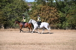WJ6_7310