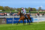 240425-Race 6-Alfie Boy-1664