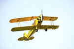 BV6R6848