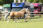 SBM_02053
