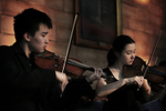 Picturing the Orchestral Family portfolio