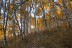 US_2022_093