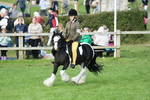 SBM_51868