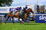 310526-Race 1-Alfred Wallace-7954