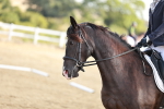 SBM_009801
