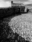 Black Scar House 05