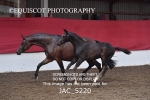 JAC_5220