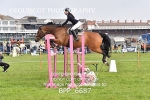 BPP_6687