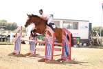 SBM_006775