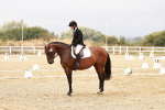 SBM_002873
