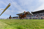 140726-Race 3-Pendella-2927