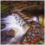 Tollymore Stepping Stones (IMG0916)