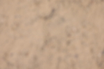 20260523-1349