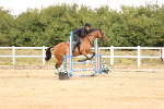 SBM_007304