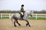 SBM_007624