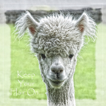 Keep Your Hair On..