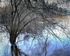 Grimstad Frost