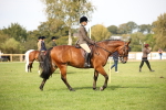 SBM_70354