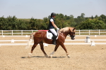 SBM_004304