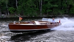 Whippet23-3458