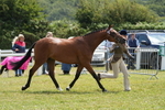 DSC06355