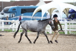 SBM_19057