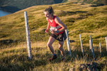 Steel Fell-419