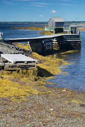 Blue Rocks, Lunenburg