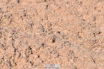230606A-172304-00184