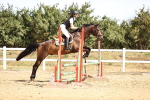 SBM_000343