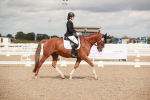 SBM_05952