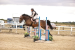 SBM_008087