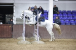 SBM_002575