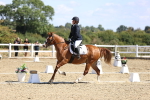 SBM_013879