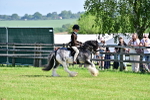 SBM_12225