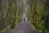 Kielder-1144