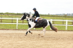 SBM_004255