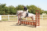 SBM_003657