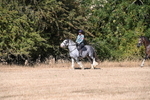 WJ6_7800