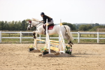 SBM_003259