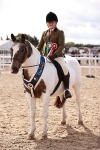 Class 409 - Grassroots Ridden - Pony portfolio