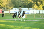 SBM_56493